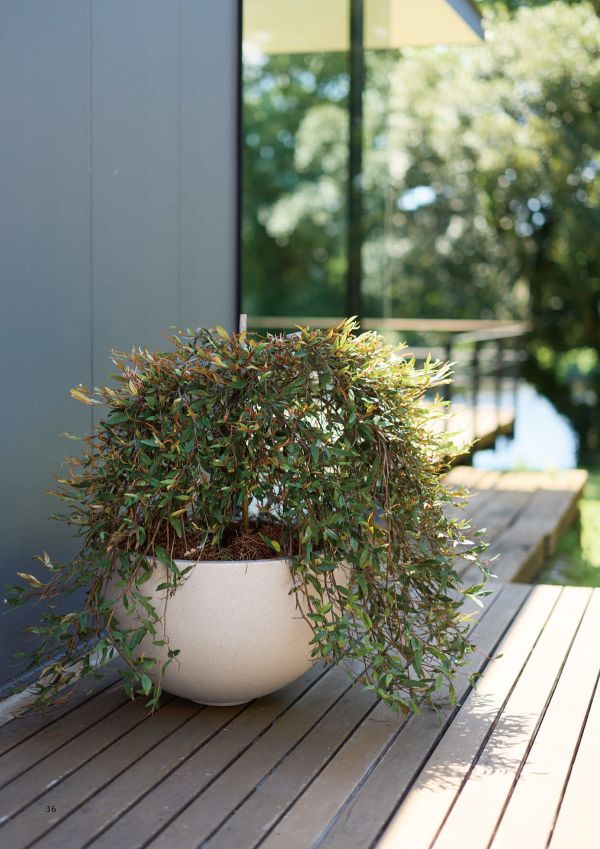 マグナス カラーズ ボウルのカタログ画像-2