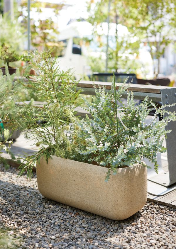 サンディ ラウンドレクトのカタログ画像-2