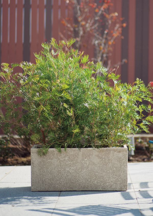 サンディ レクトのカタログ画像-2