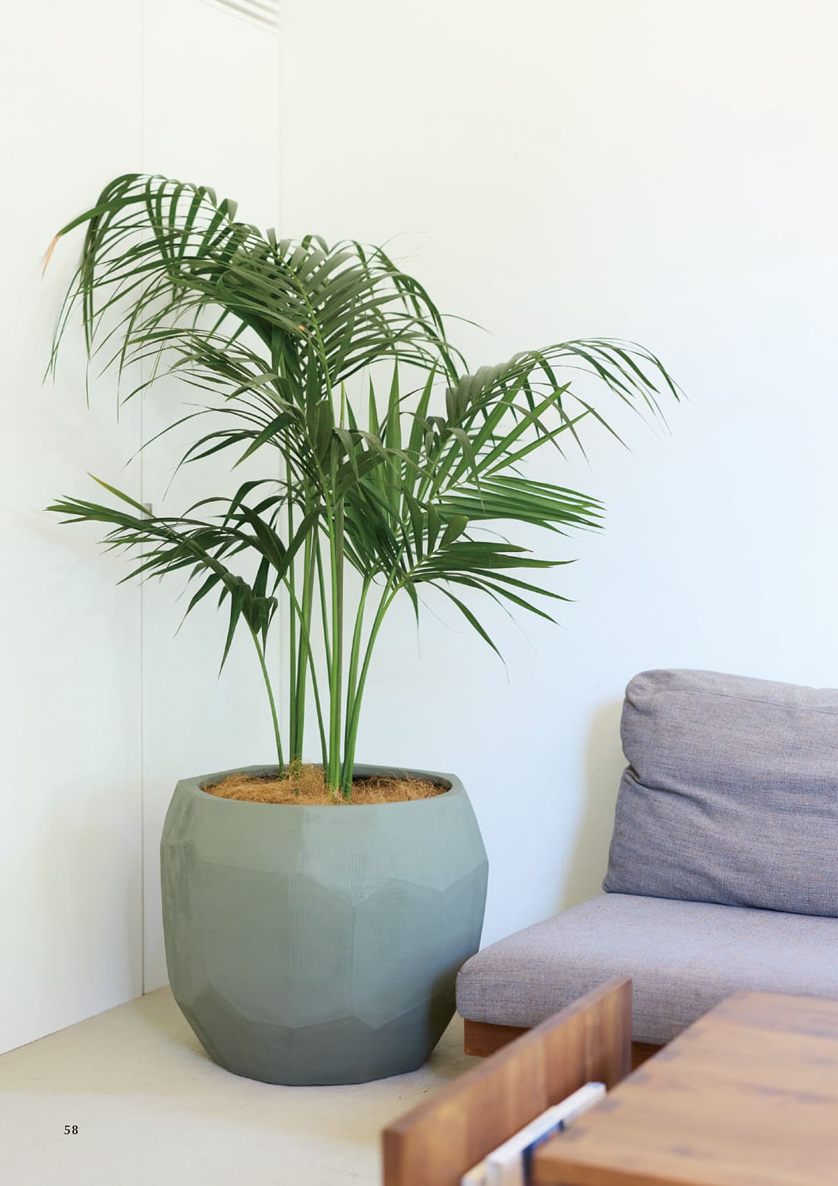 ヤマテー Yamatei カタログ P58