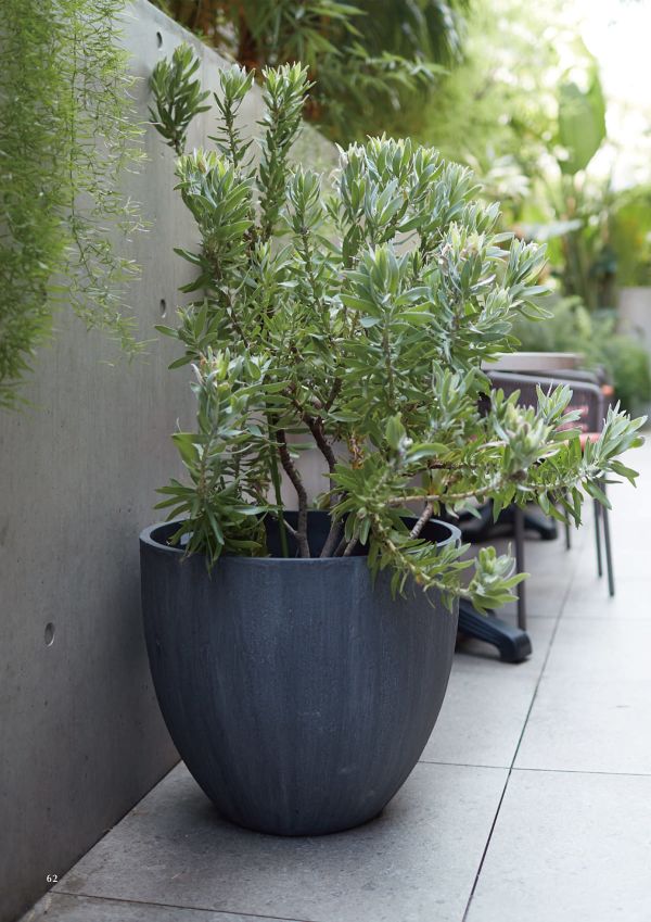 ソンク ラウンドのカタログ画像-2