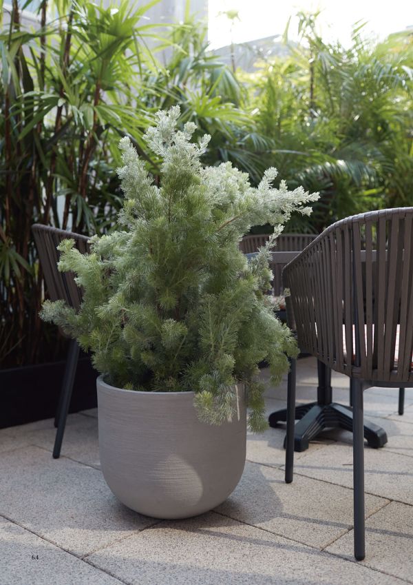 ソンク ユーポットミドルのカタログ画像-2