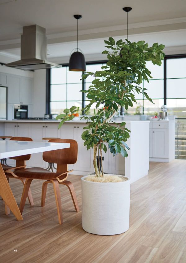 ソンク シリンダーのカタログ画像-2