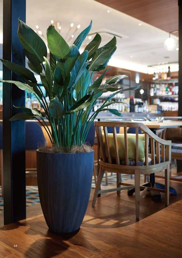 ソンク ラウンドトールのカタログ画像-2