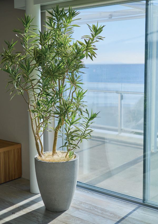 カプリ モノのカタログ画像-2