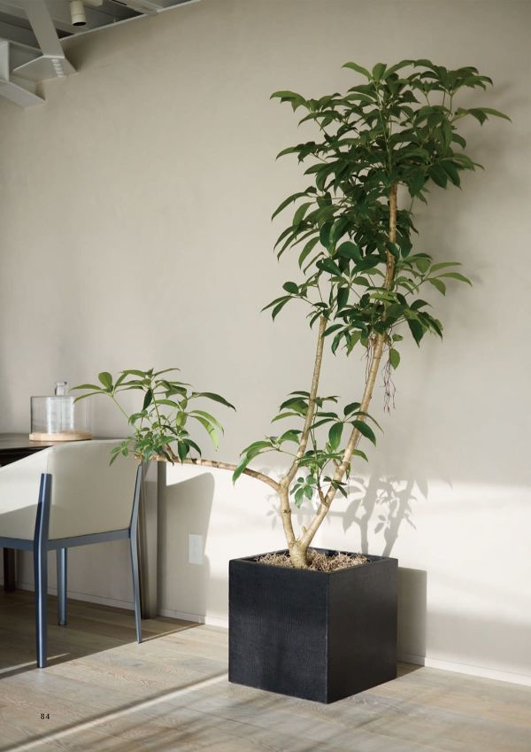 キューブ モノのカタログ画像-2