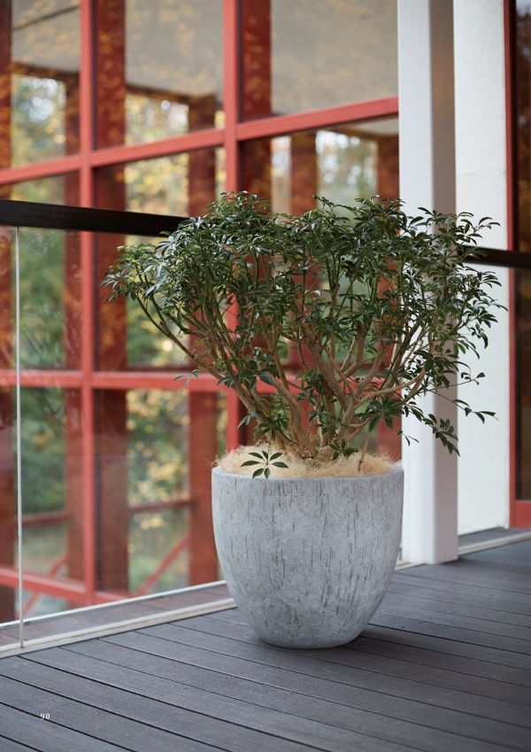 ケートス ベアルートのカタログ画像-2