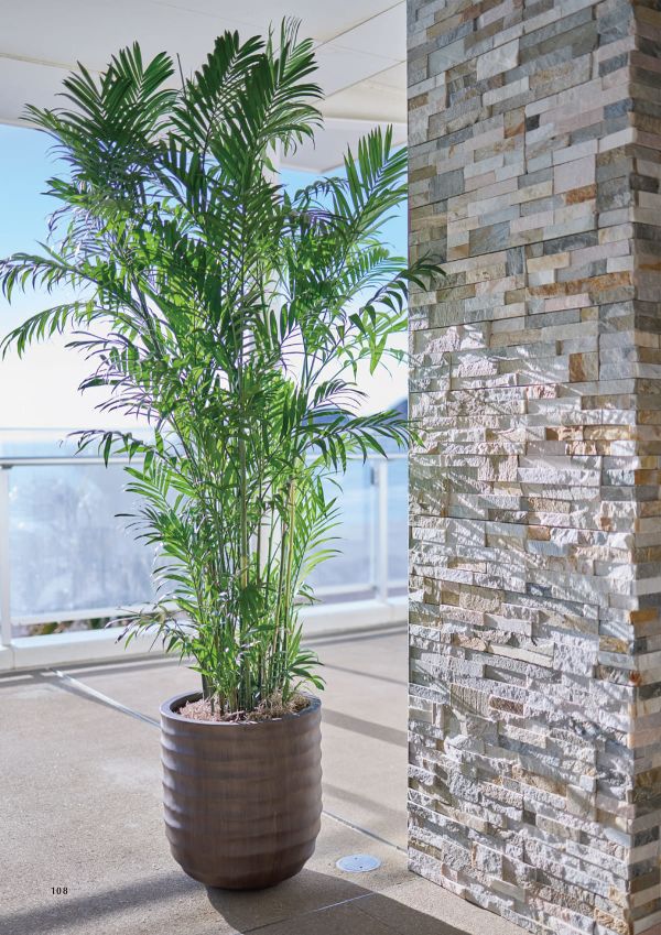 アプスのカタログ画像-2