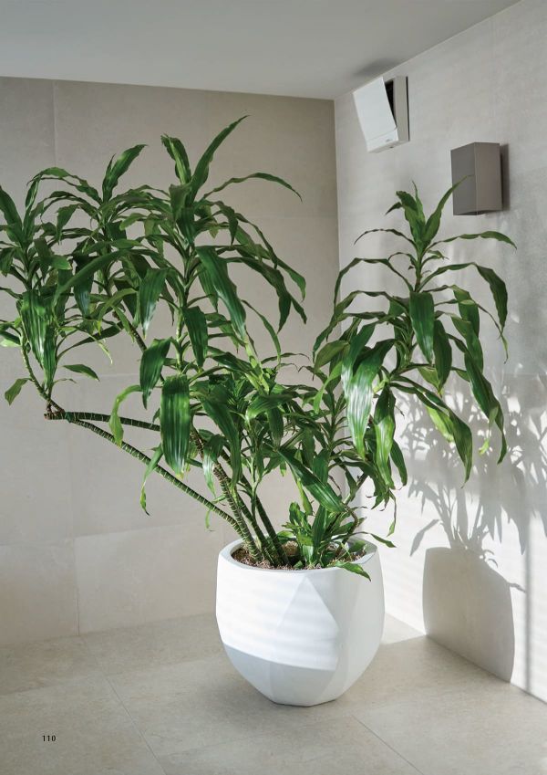 ポリゴナル ラウンドのカタログ画像-2