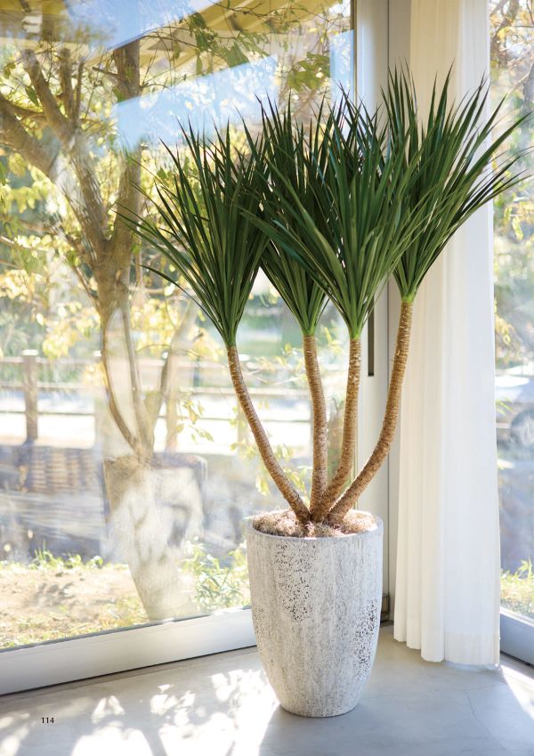 オイスター ロングのカタログ画像-2