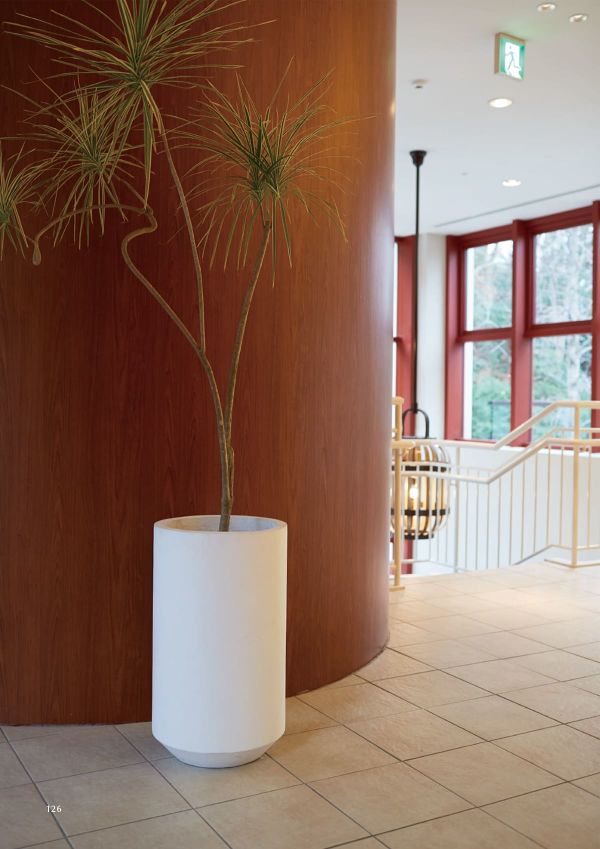 アユラニ トールパトン AY-T01W70Nのカタログ画像-2