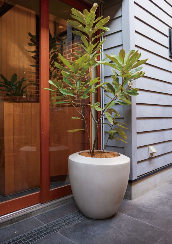 ベトン ユリウスのカタログ画像-2