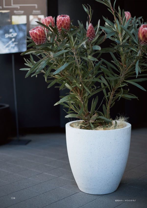 CT-101T10Eのカタログ画像-2