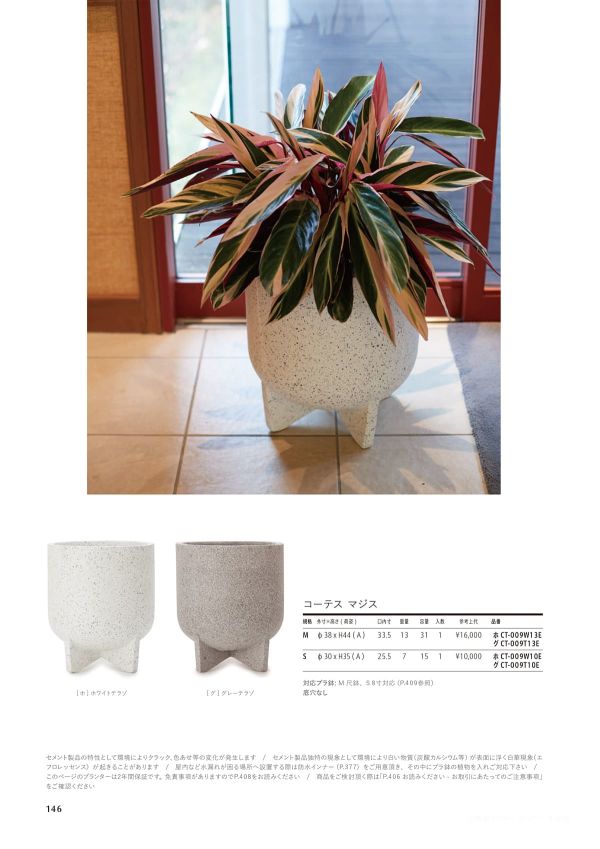 コーテス マジスのカタログ画像-1