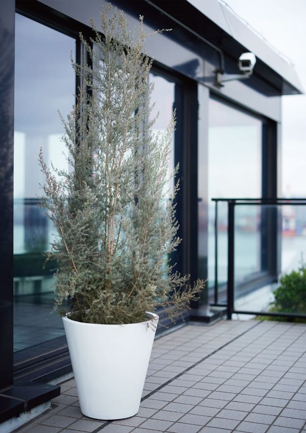 イタ コニックプランターのカタログ画像-2