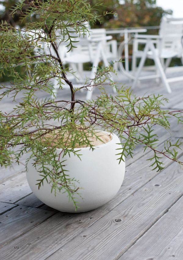 スパイラ ボウルプランターのカタログ画像-2