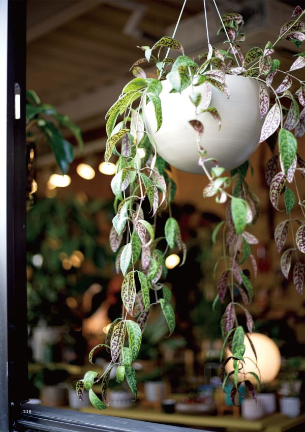 スチールハンギングのカタログ画像-2