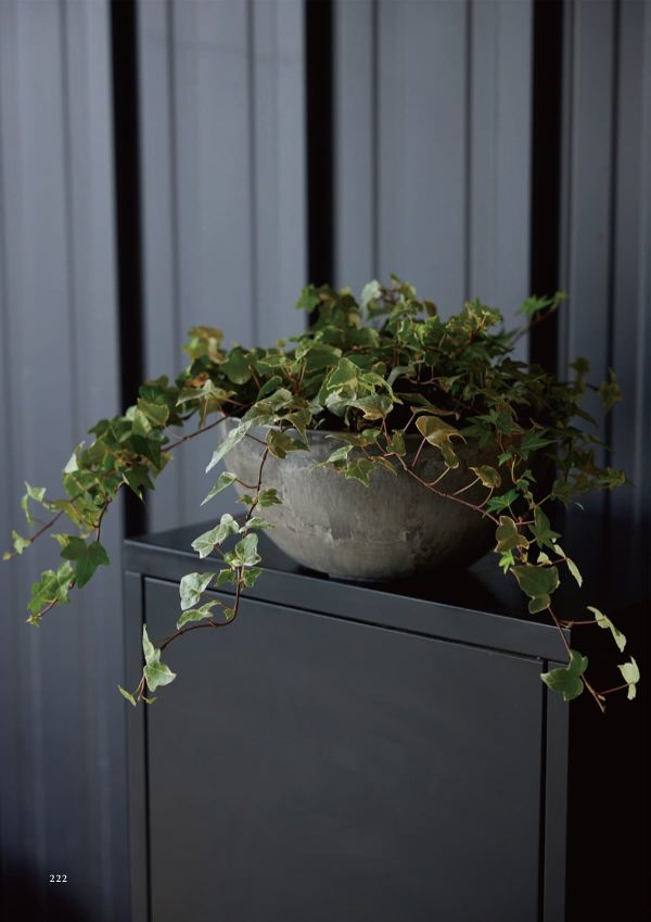 アートストーン ボウルのカタログ画像-2