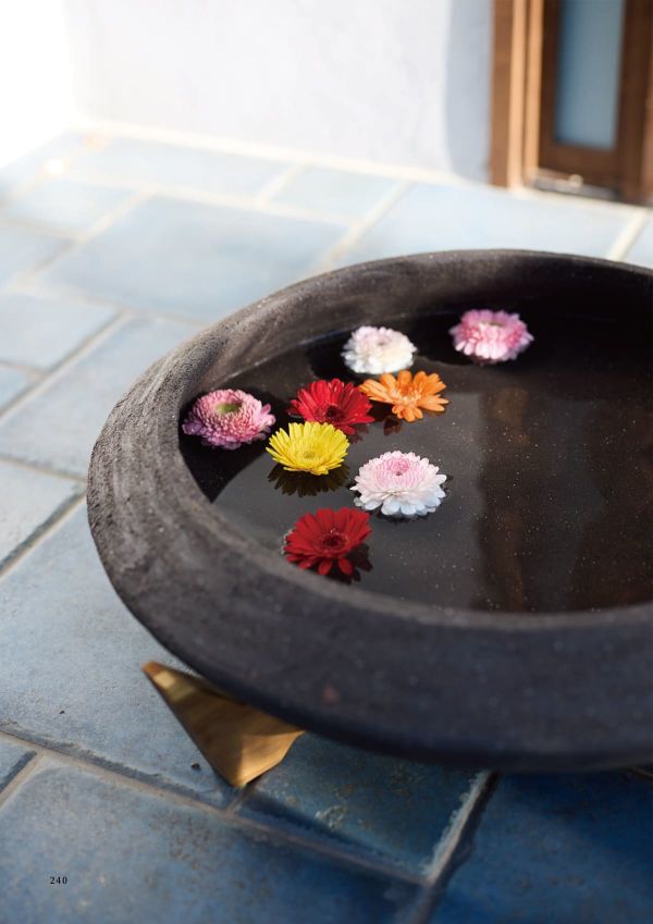 コントンポット ティアマトのカタログ画像-2