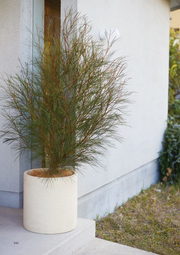 コントンポット アンシャルのカタログ画像-2