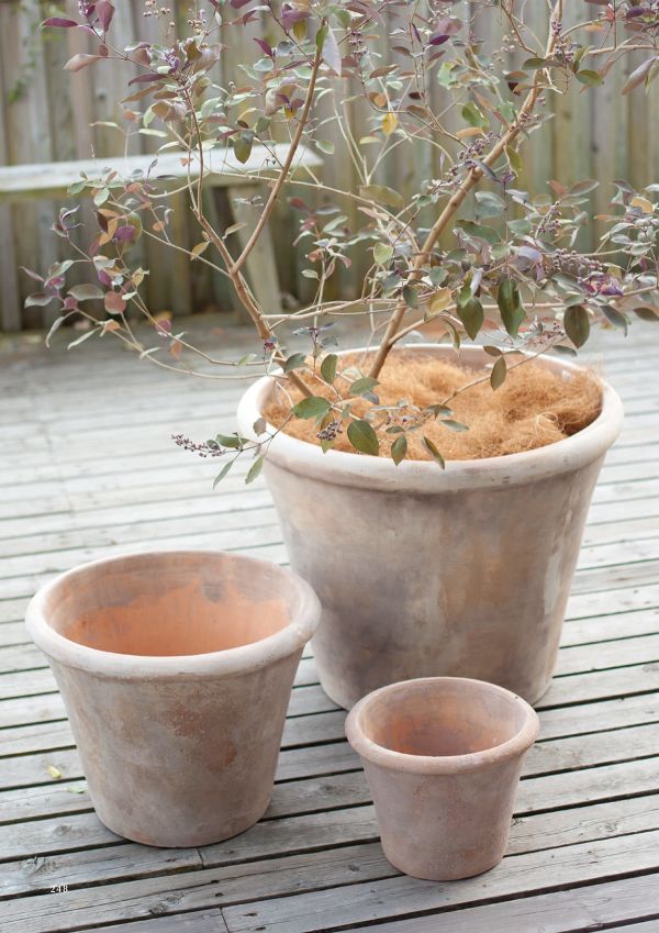 テラアストラ アダーラのカタログ画像-2