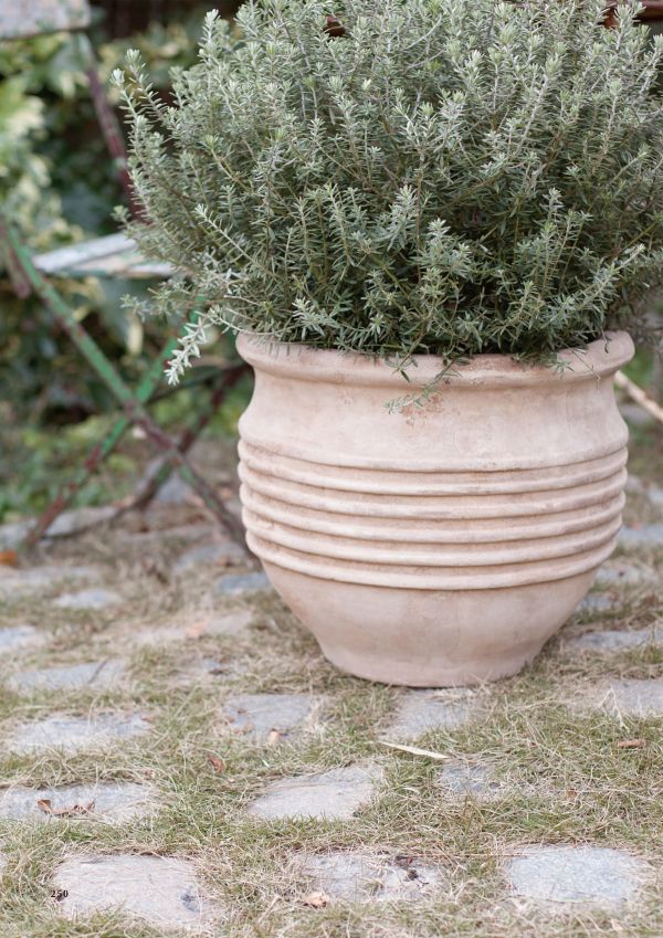 テラアストラ リゲルのカタログ画像-2