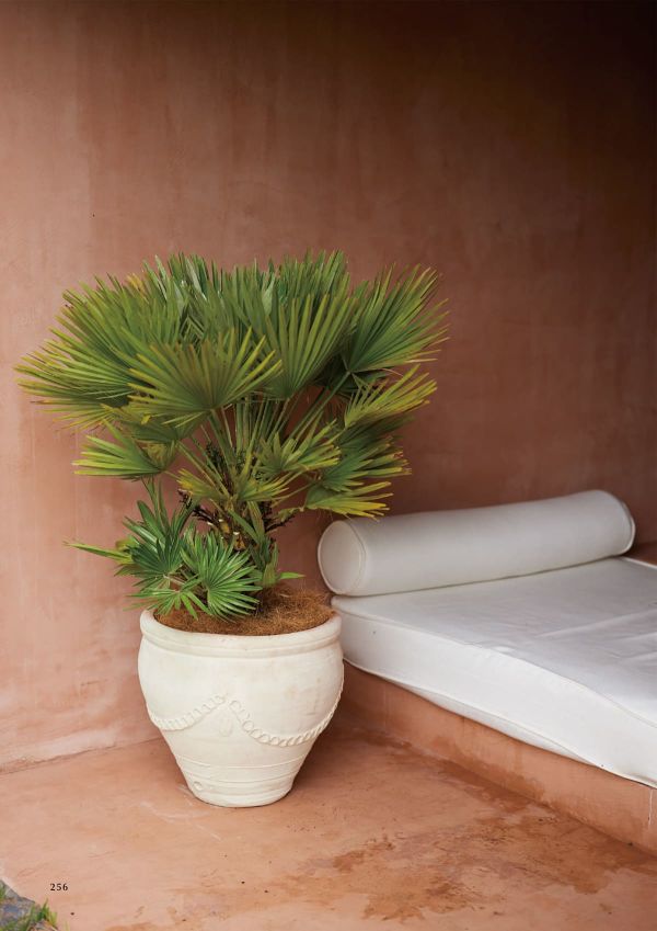 チュニジアン ガーランドのカタログ画像-2