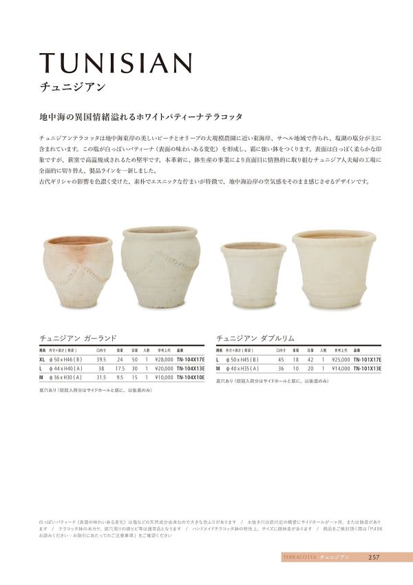 チュニジアン アンフォラのカタログ画像-2