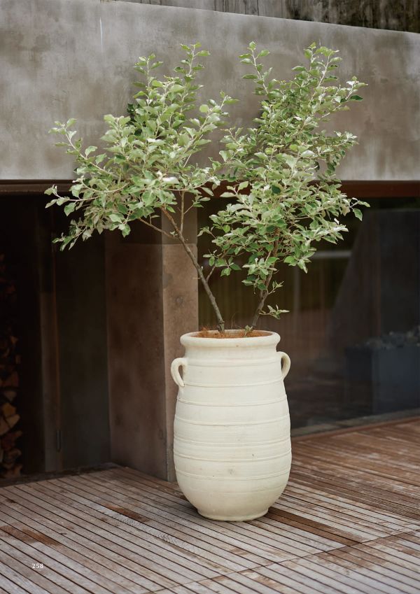 チュニジアン トールアンフォラのカタログ画像-2