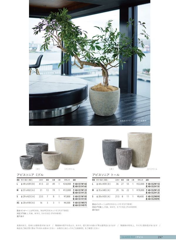 アビスソニア トールのカタログ画像-1