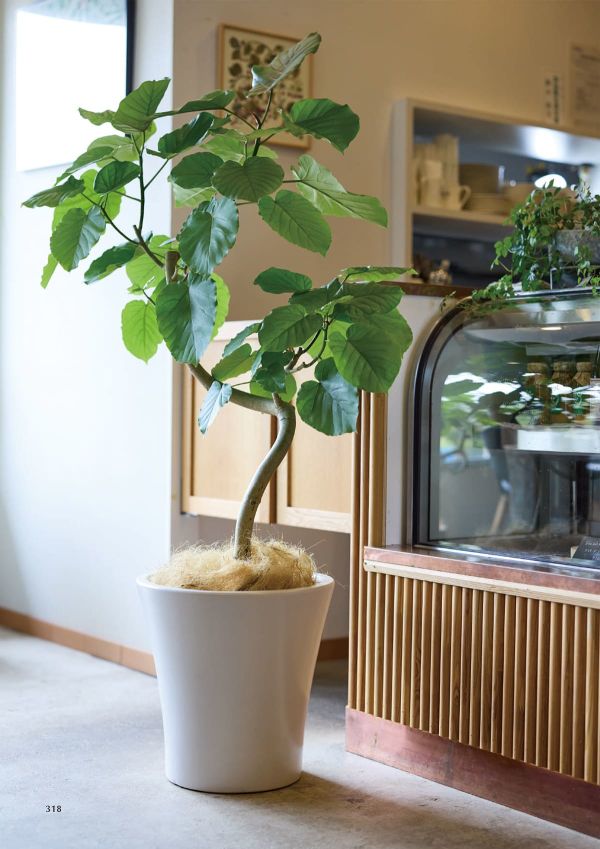 モダン WY15 マット釉 2点セットのカタログ画像-2