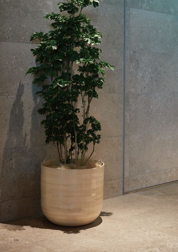 アルマ ユーのカタログ画像-2