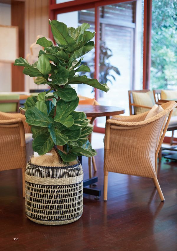 アルマ ウーブンのカタログ画像-2