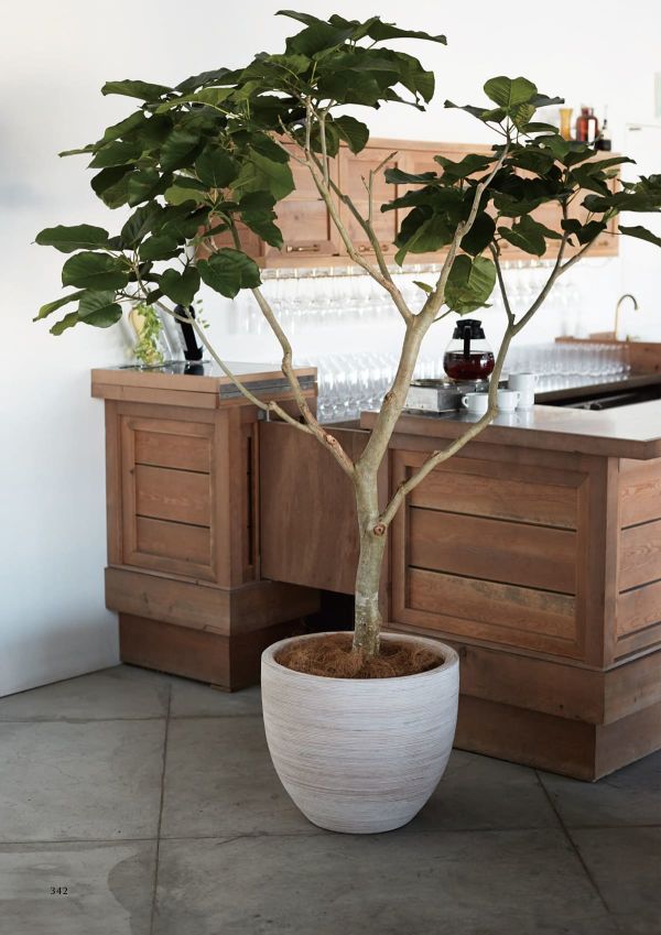 マラッカ クリームウォッシュ RDのカタログ画像-2