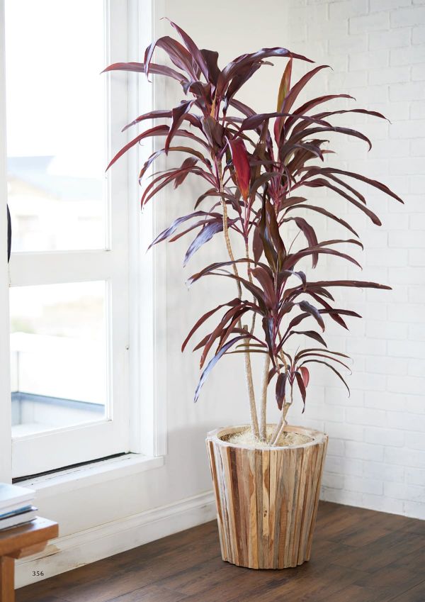 チークウッド コニックのカタログ画像-2