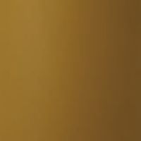 マスタードイエロー