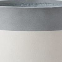 サンディホワイト