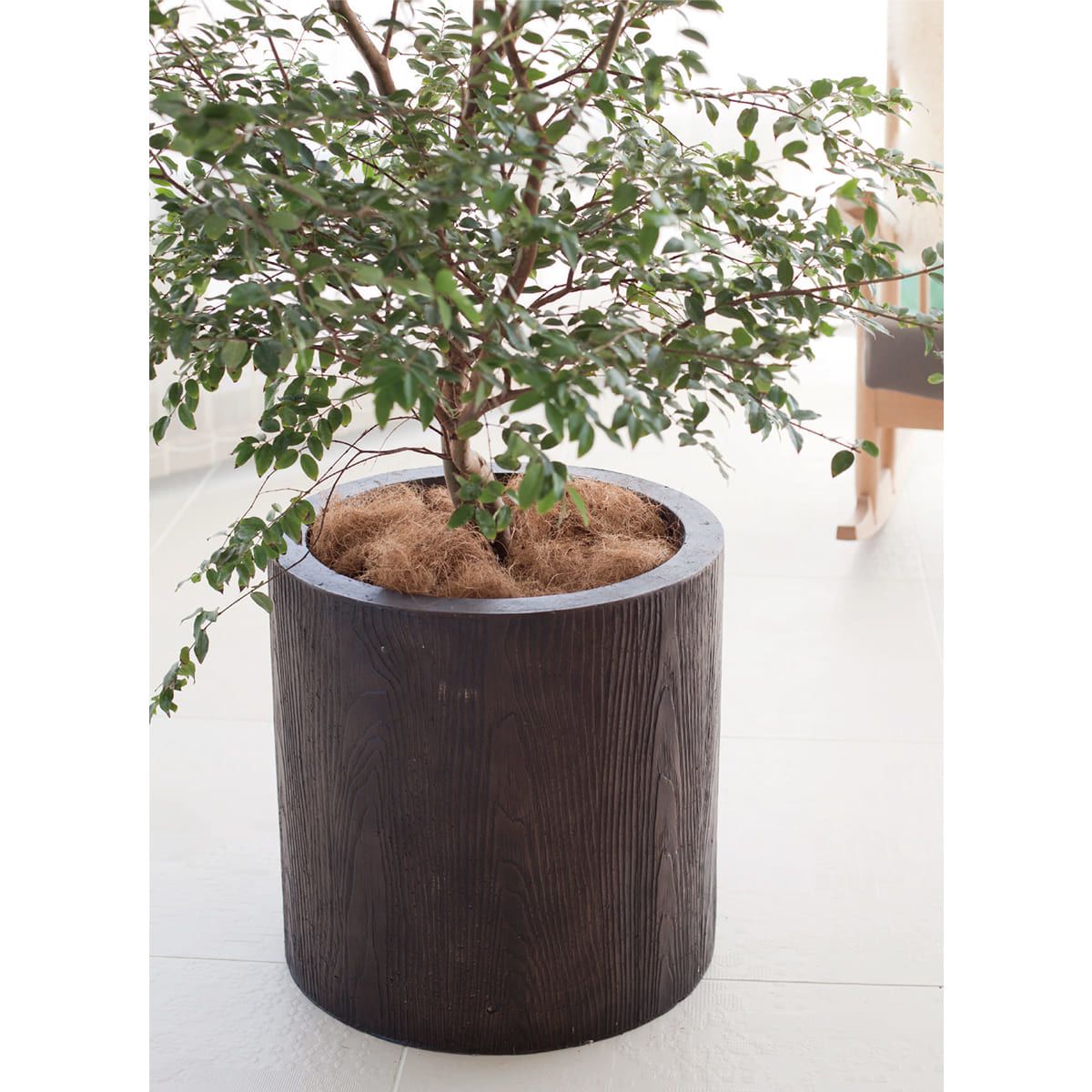 アルファ シリンダープランター ウッド-画像1