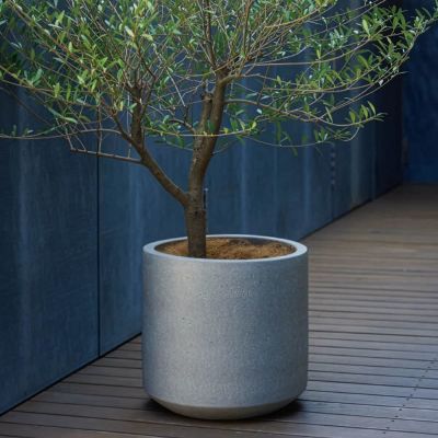 コーテス シリンド