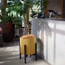 YAMATEI プラントポット フェルム シリンダー 直径38cm アイボリー YAMATEI | プラントポット/フェルム シリンダー （直径26cm