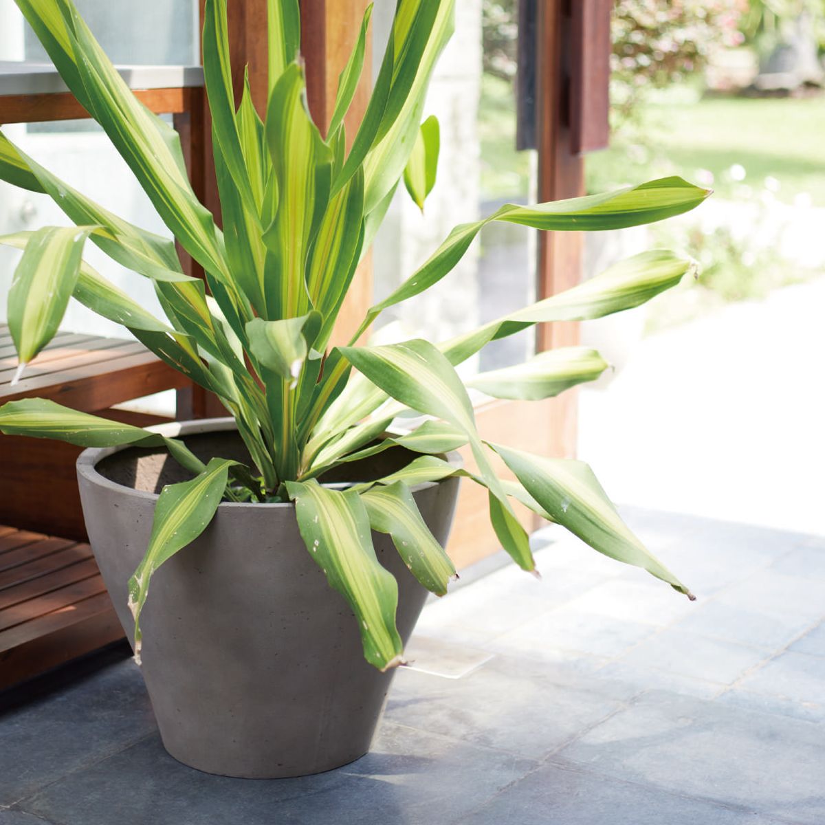 レプス｜ヤマテーのガーデンプランター