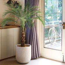 ミュゲ様オーダー専用 フラワーガーデンマンダラブランケット Amazon.co.jp: Olle 高さ17インチ 盛り上がったガーデンベッド