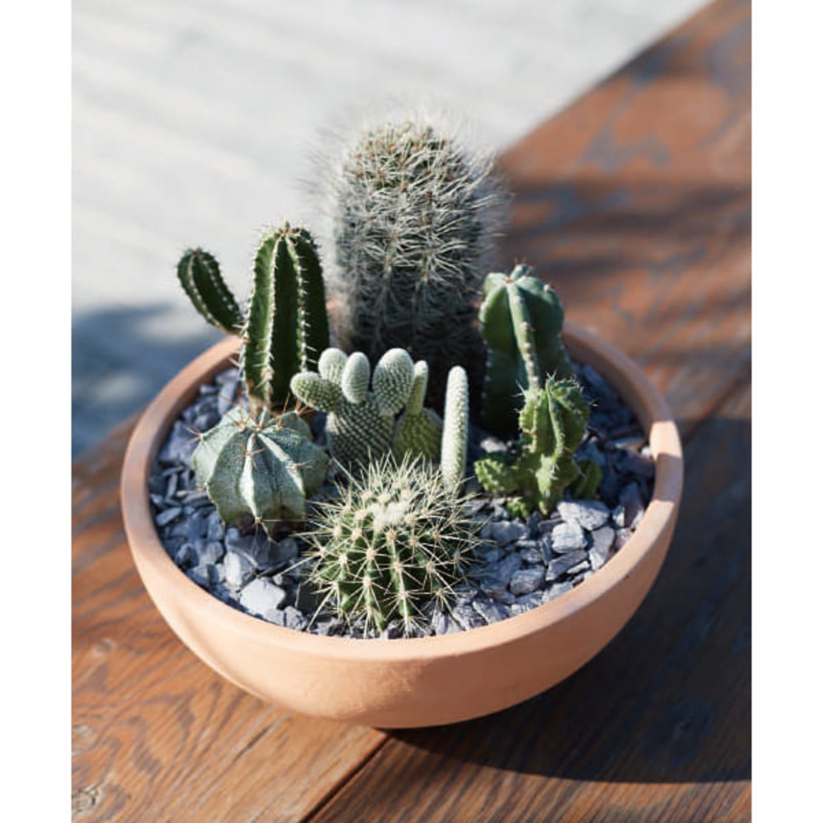 インティ ローボウル-画像1