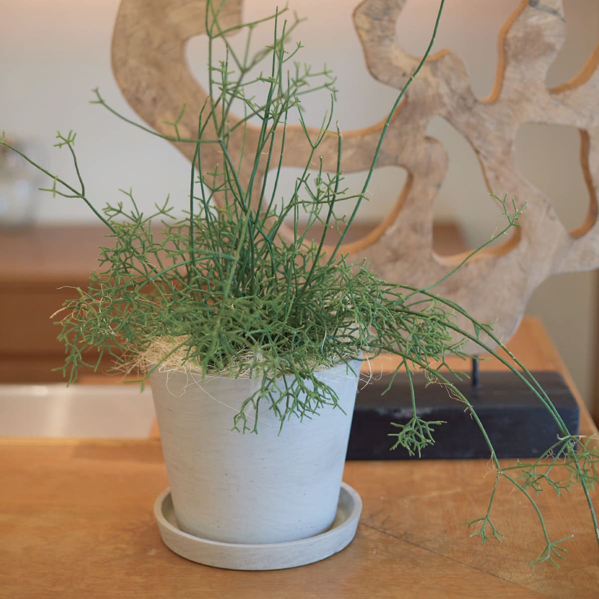 鉢・プランター ken KINTO キントー プランター プラントポット 191_ 135x115mm