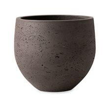 カッセル オーブ M11号