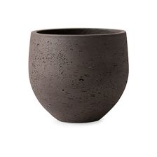 カッセル オーブ S8号