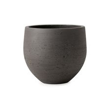 カッセル オーブ XS6号