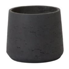 カッセル トラピ M