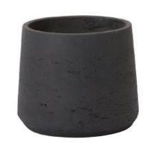 カッセル トラピ S