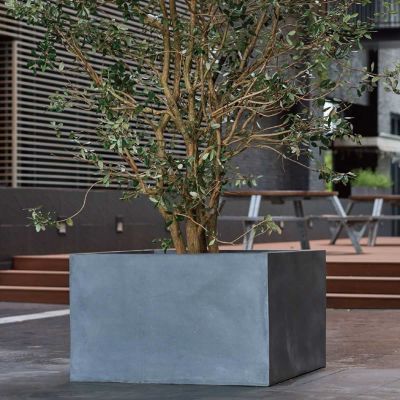 マグナス ミドルキューブ